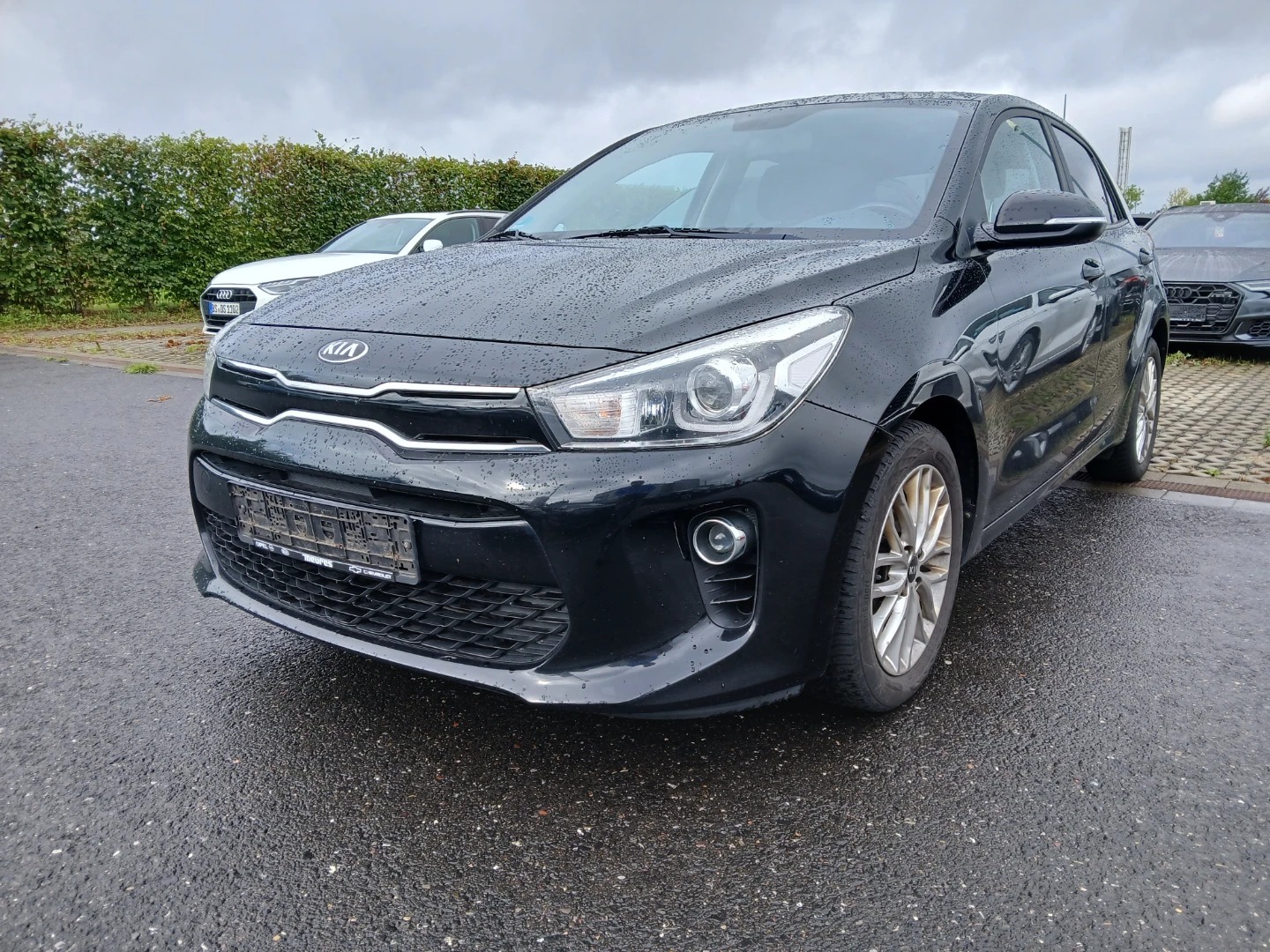 Kia Rio 1,2 Dream Team