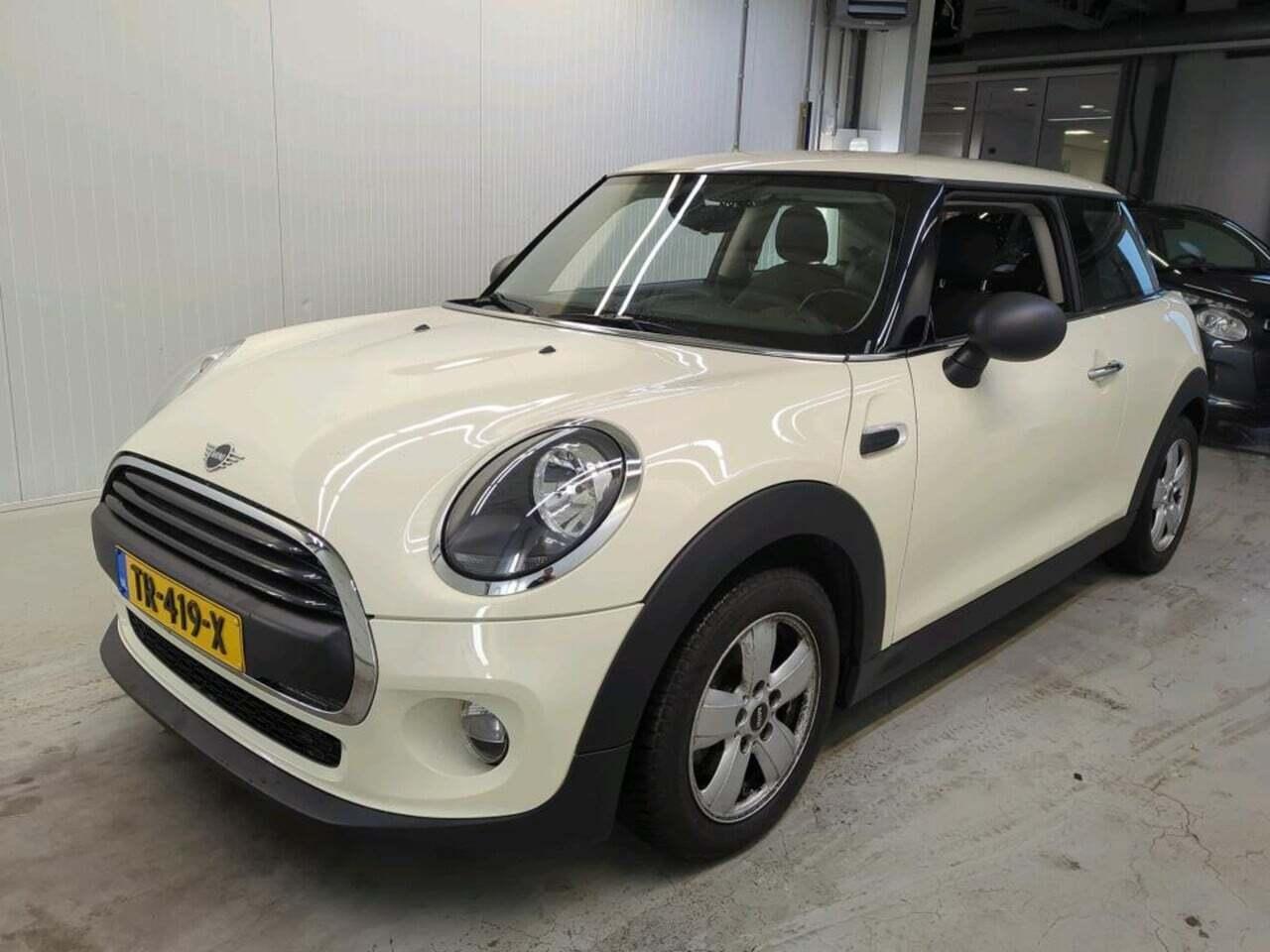 Mini Mini 1.5