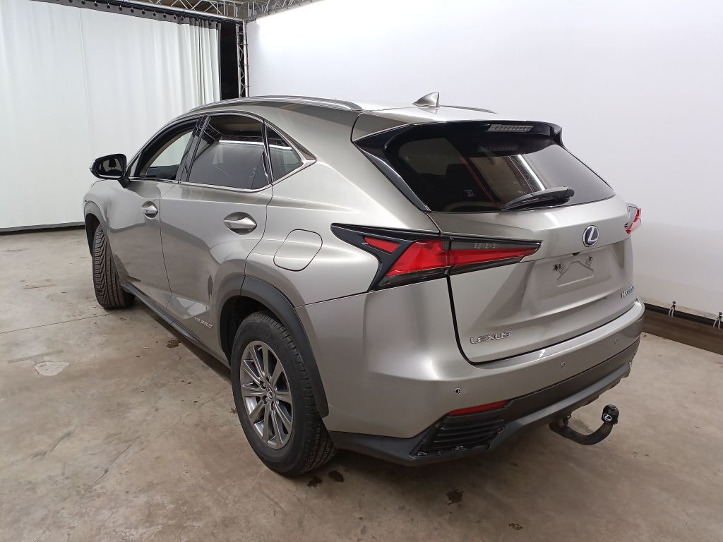 Lexus NX NX 300h Business Edition AWD 5d photo