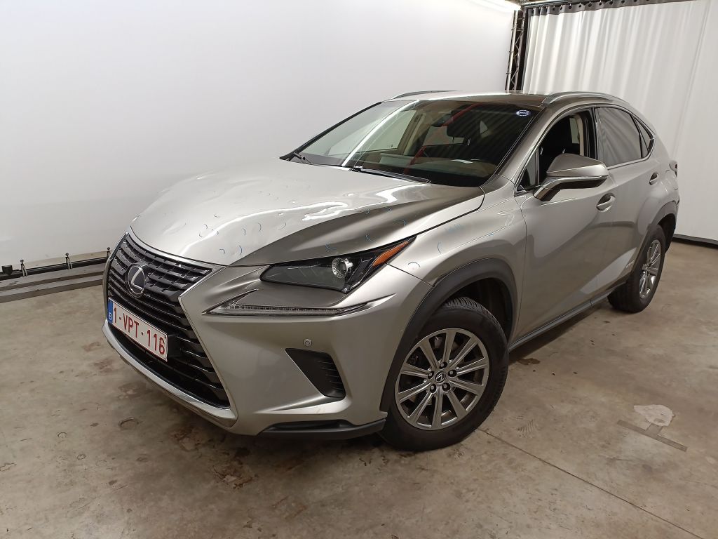 Lexus NX NX 300h Business Edition AWD 5d photo