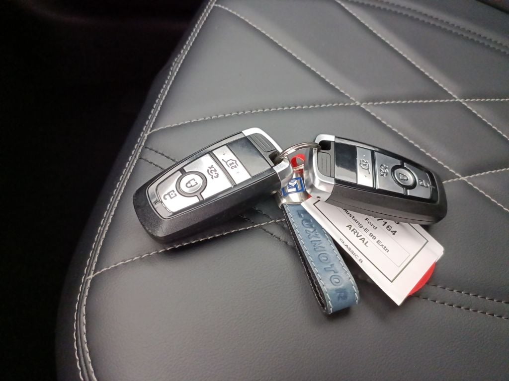 FORD MUSTANG MACH-E 99 kWh Extended Range RWD 5d photo