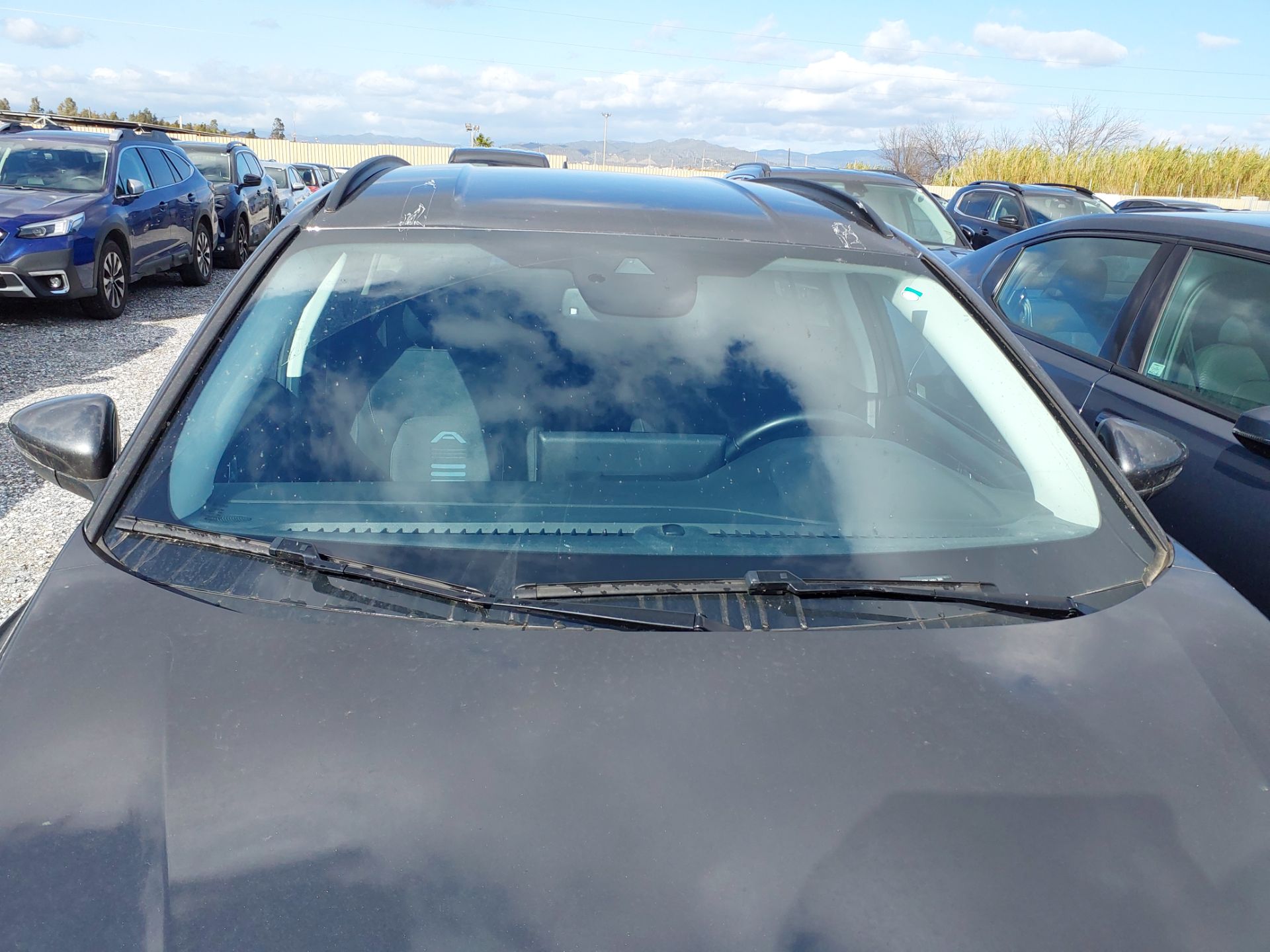 FORD Focus SPORTBREAK 1.0 Ecoboost MHEV 114KW (155CV) Automát ACTIVE photo