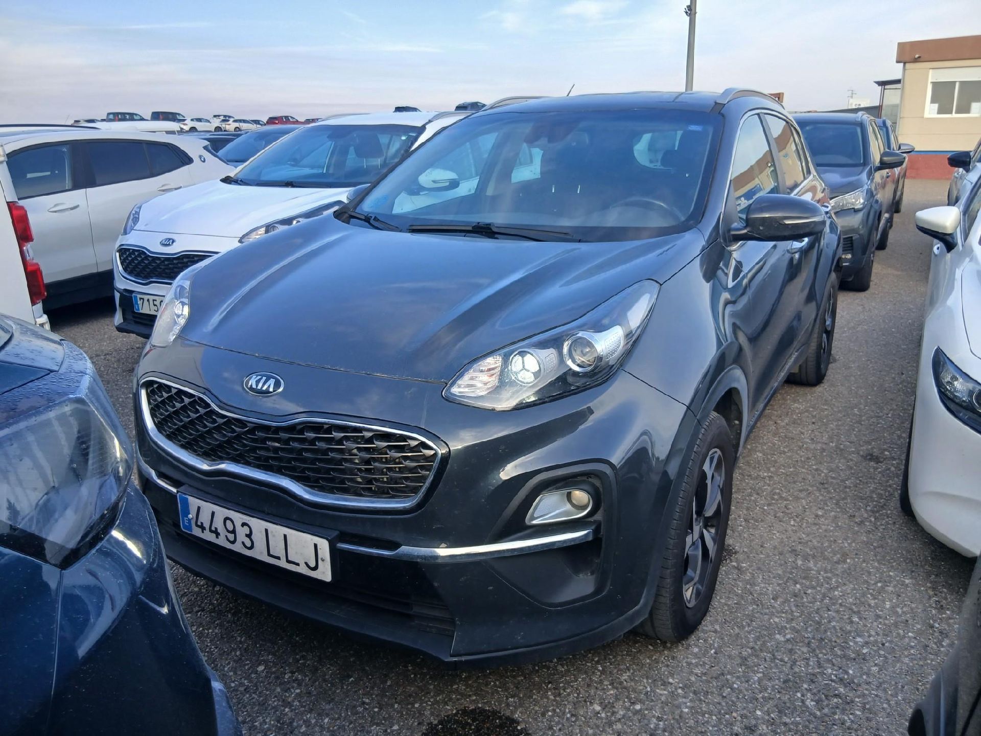 KIA Sportage 1.6MHEV Drive 100kW(136CV) 4x2(Crist Tintados)(CX)