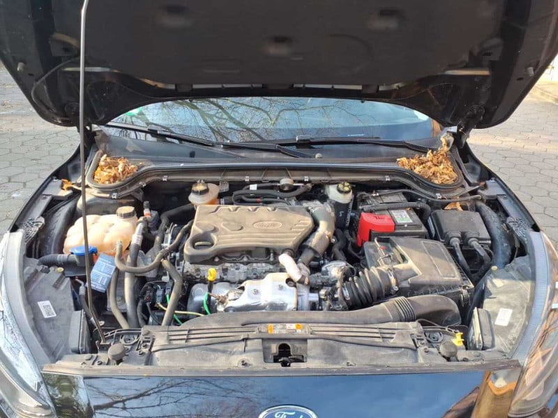 Ford Focus Turnier (CGE)(2018->) DE - Kb5 1.5 EcoBlue EU6d-T, Titanium Start/Stopp (EURO 6d-TEMP), 2018 - 2021 photo