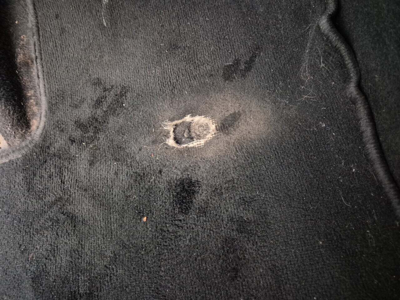 TOYOTA YARI 1.5 VVT-I HYBRID LOUNGE photo