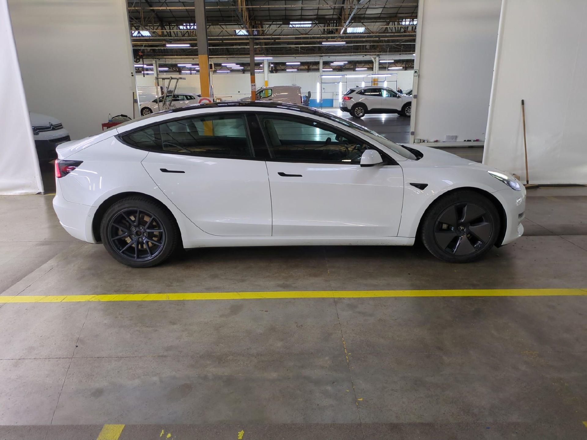 TESLA Model 3 / 2018 / 4P / Berline Grande Autonomie Dual Motor AWD photo