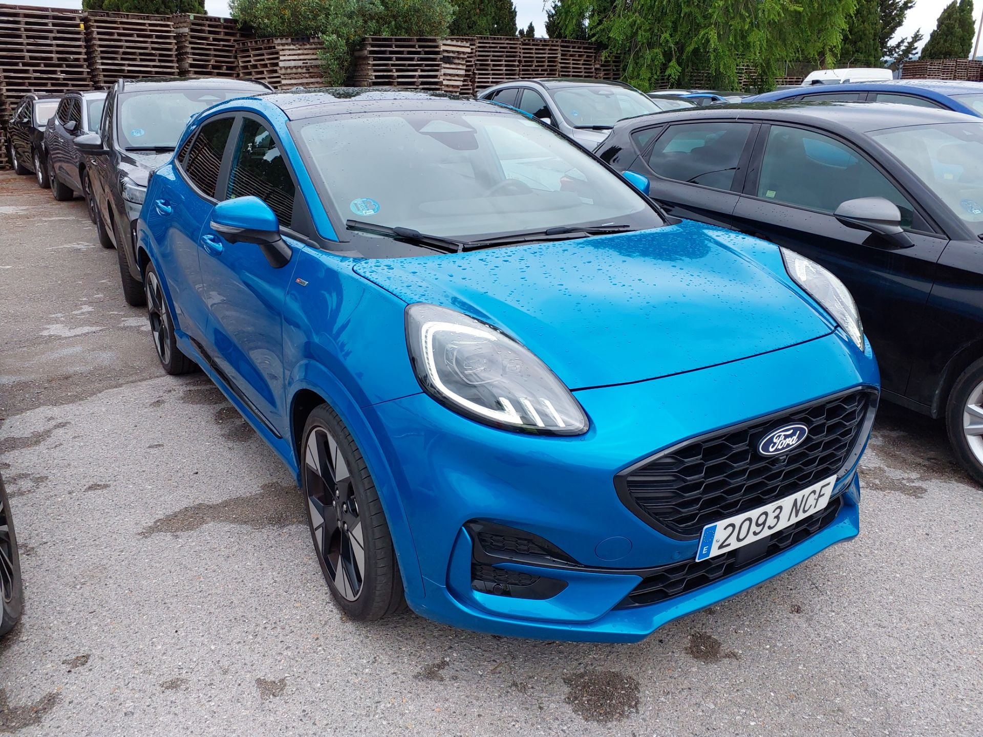 FORD Puma 1.0 155cv S6.2 AutomÃ¡tico ST-LINE X EcoBoost(Pano-Roof + Winterpack)