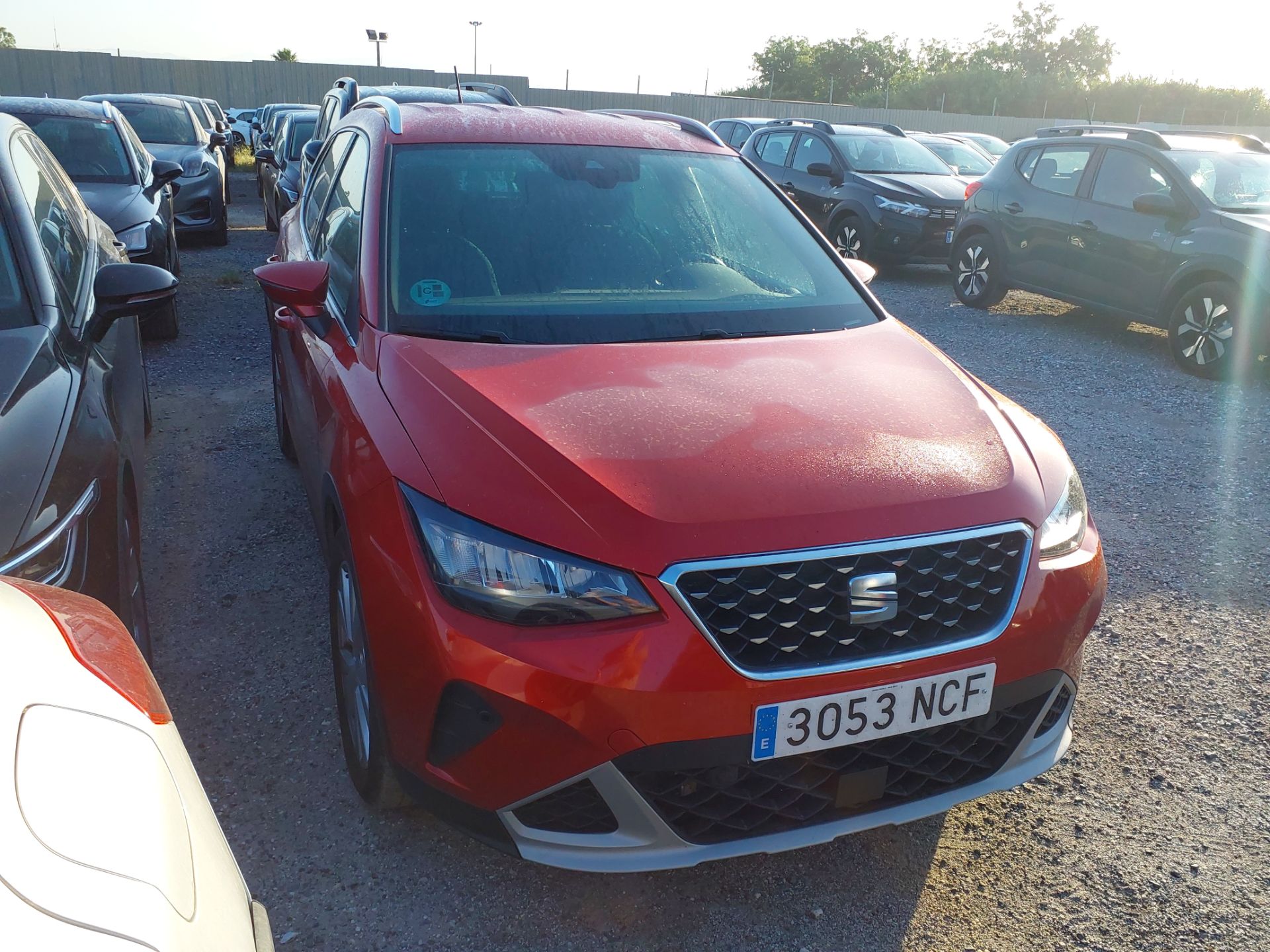 SEAT Arona 1.0 TSI 85 KW 115 CV DSG startstop special edition EXPERIENCE(Winterpack)