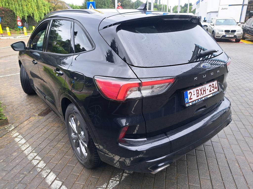 FORD KUGA 2.0 ECOBLUE MHEV 110KW ST-LINE X photo