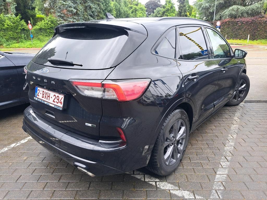 FORD KUGA 2.0 ECOBLUE MHEV 110KW ST-LINE X photo