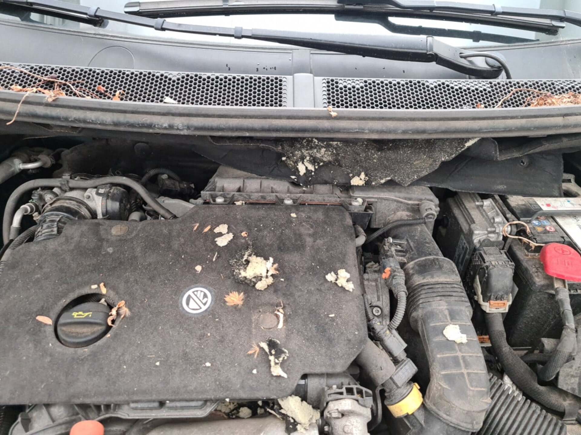 PEUGEOT 5008 1.5 BLUEHDI GT 7P. EAT8 photo
