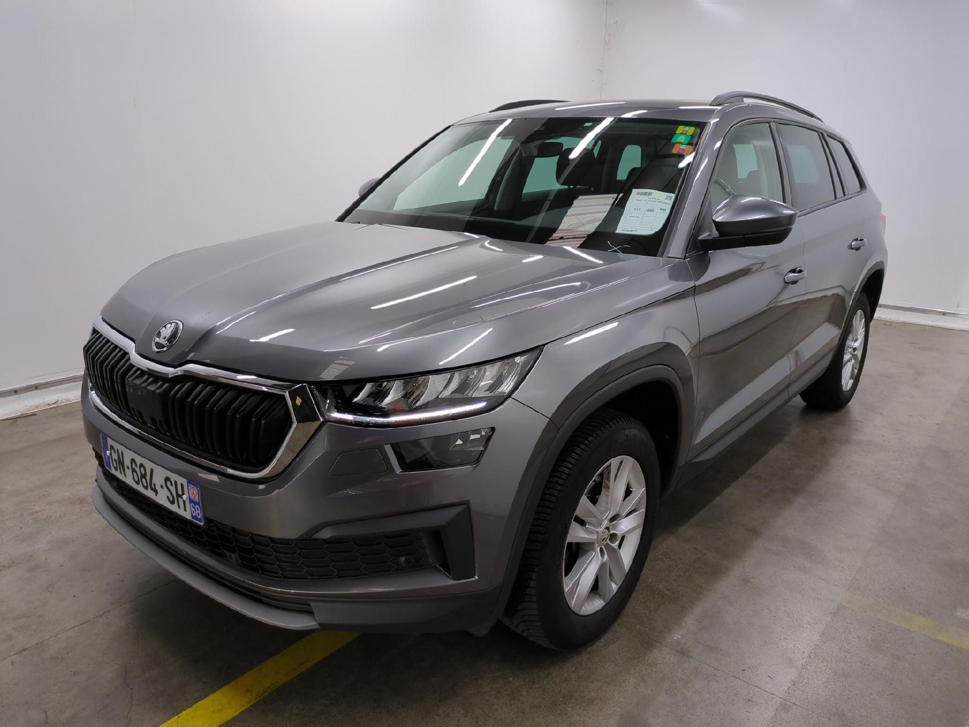 Kodiaq Business 1.5 TSI 150CV BVA7 E6d